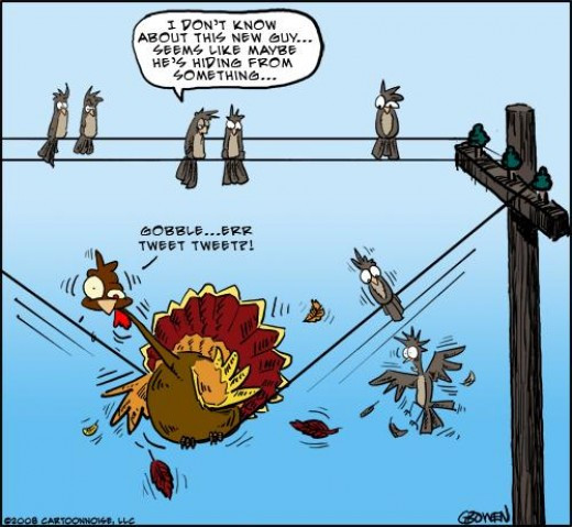 Turkey Cartoons Thanksgiving
 Whimsically Homemade Wordless Wednesday Thanksgiving Humor