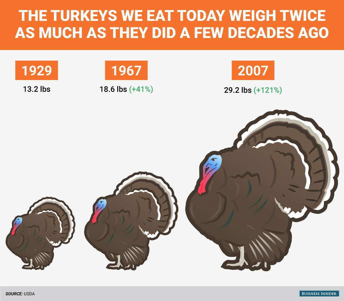 Turkey Sizes For Thanksgiving
 How big turkeys were then and now Business Insider