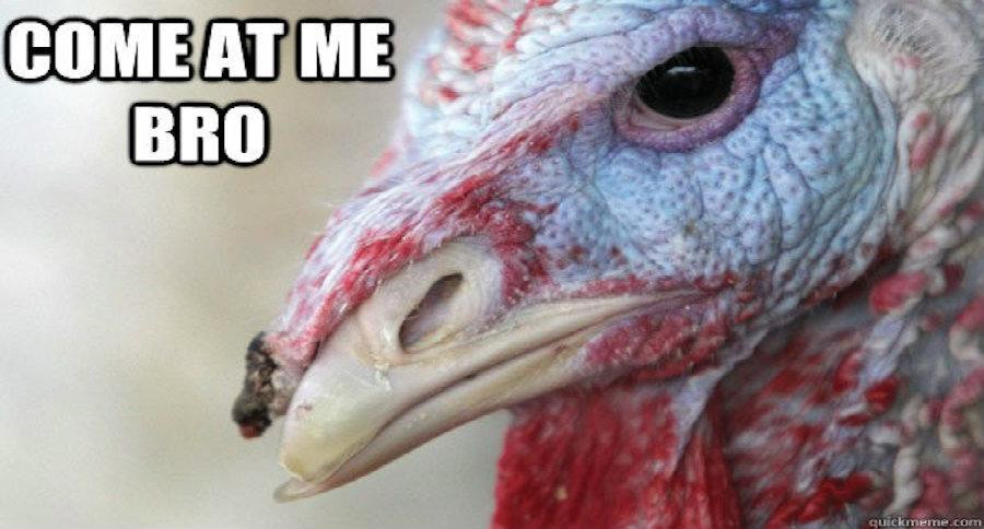 Turkey Thanksgiving Meme
 These 10 Turkey Memes are Perfect for Thanksgiving
