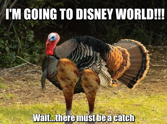 Turkey Thanksgiving Meme
 9 best Disney Fun s images on Pinterest