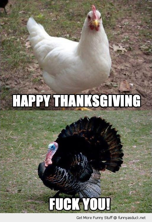 Turkey Thanksgiving Meme
 Daily Morning Awesomeness Thanksgiving Edition 53 s