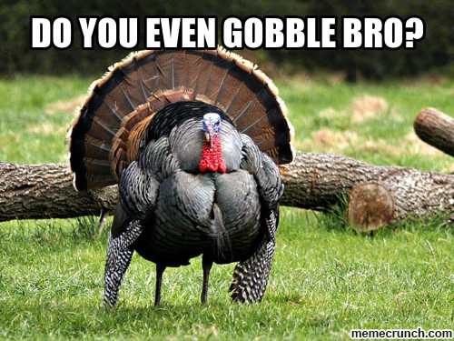 Turkey Thanksgiving Meme
 Tickled Turkey