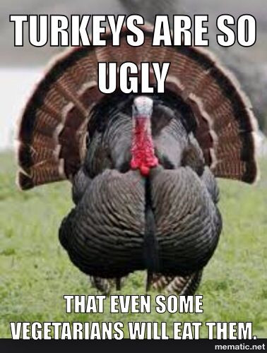Turkey Thanksgiving Meme
 145 best images about Funny memes on Pinterest