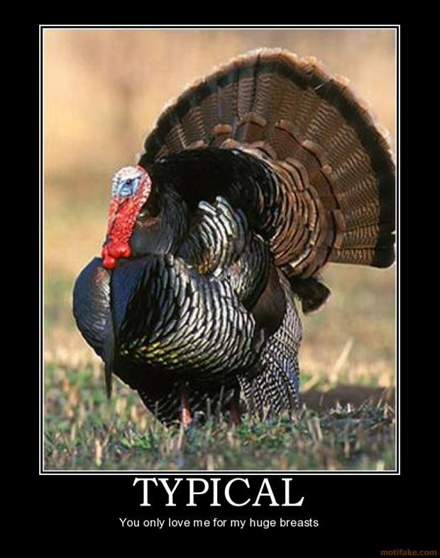 Turkey Thanksgiving Meme
 11 Turkey Memes That Will Get You Ready to Blast Those Birds