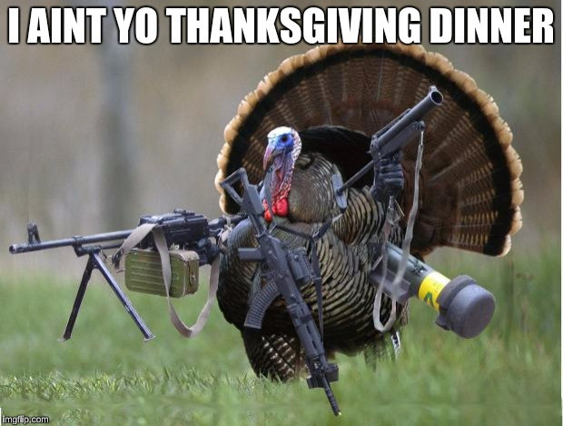 Turkey Thanksgiving Meme
 Imgflip Create and Awesome