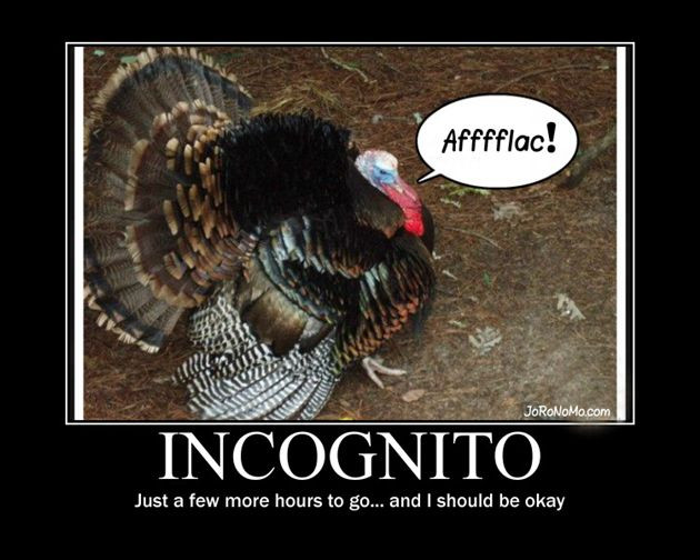 Turkey Thanksgiving Meme
 Best 25 Thanksgiving quotes funny ideas on Pinterest