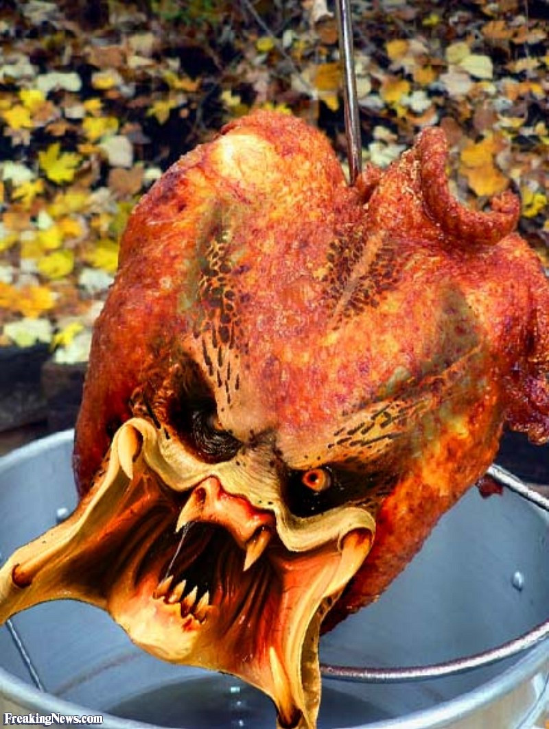 Vons Thanksgiving Dinner 2019
 Funny Predator Freaking News
