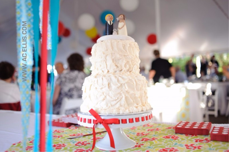 Wedding Cakes Sioux Falls
 The Cake Lady South Dakota Iowa Minnesota