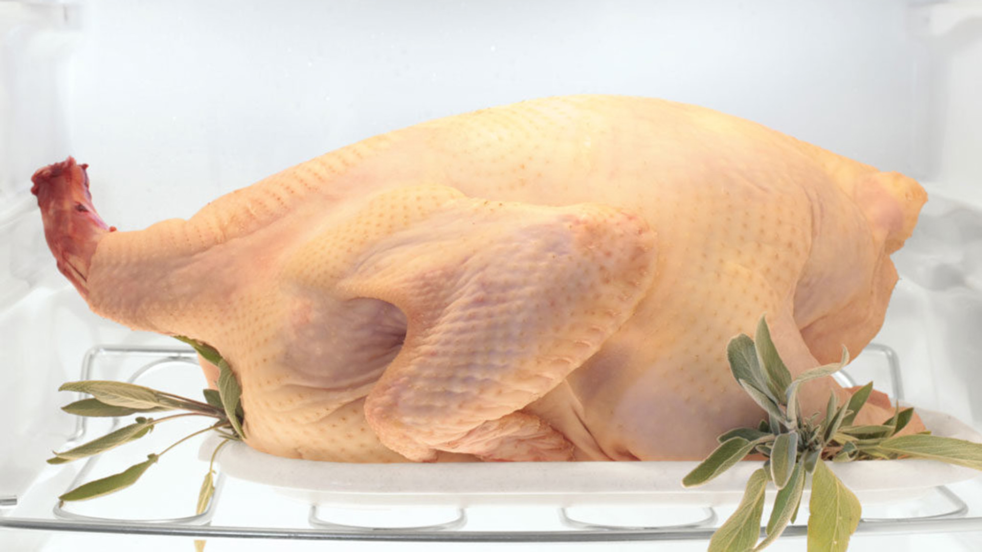 When To Defrost Turkey For Thanksgiving
 How to properly thaw a frozen turkey for Thanksgiving