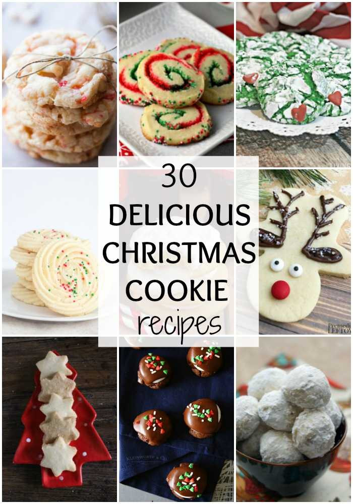 Yummy Christmas Cookies
 30 Delicious Christmas Cookie Recipes A Blissful Nest